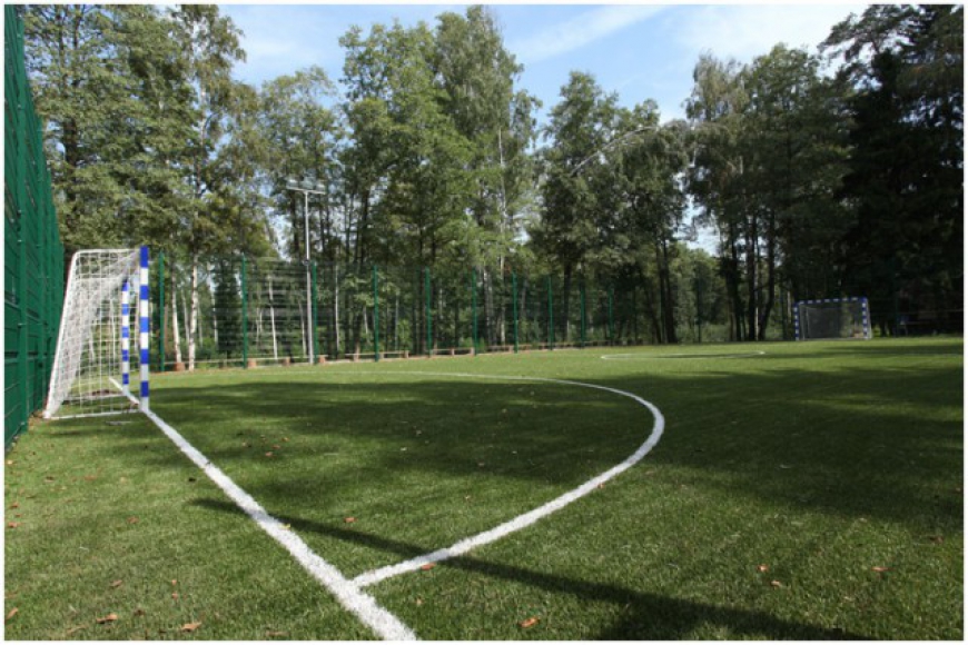 поле для мини-футбола.jpg